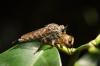 213986 – Photo : Christophe Avenas – France (20)